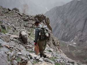Dağlardan gergedan otu topluyor