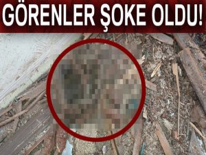 Yıkım yaparken tavan arasında bulundu