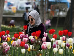 Van 110 bin lale ile süslenmeye başlandı