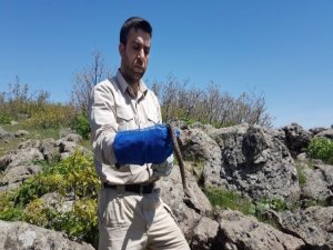 Sadece Türkiye'de bulunuyor