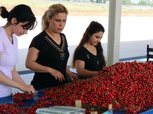 Yeni yılın kirazı pazardaki yerini aldı