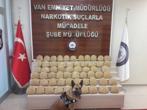 Zehir tacirleri enselendi