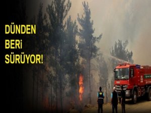 Ekipler ne yaptıysa söndüremedi!