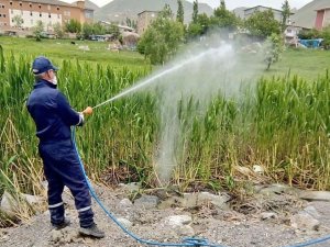 Haşerelerle mücadele çalışması başlatıldı
