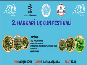 Bağşlı köyünde 2.Uçkun Festivali düzenleniyor