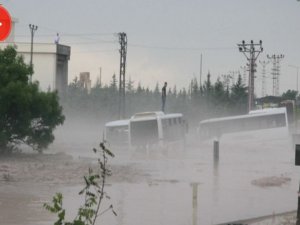 Yoğun sağanak sele yol açtı