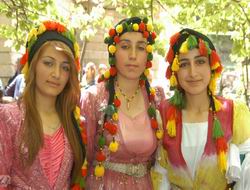 Demirtaş Ağaçdibi Köyünde