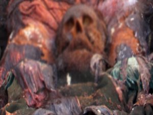 Polonyalı yarbayın naaşı sahipsiz kaldı