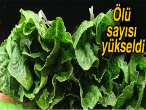 Marul salgını büyüyor!