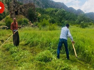 Beytüşşebap’ta hayatın her alanı renkleniyor