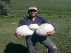 Görenler şaşırıp kalıyor!