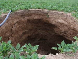 Tarlanın ortasında ilk kez oluştu!