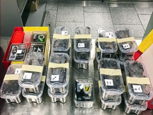 Yolcu bagajında 22 tarantula çıktı