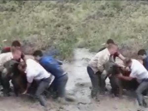 Çamura saplanan eşeği böyle kurtardılar