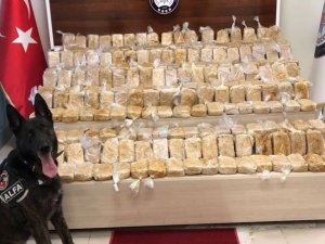 105 kilo eroin hassas burun ‘Alfa’ya takıldı