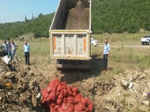 4 ton midye ele geçirildi: 20 gözaltı