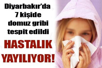 DİYARBAKIR DA DOMUZ GRİBİ PANİĞİ