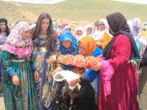 Akkoyun ile karakoça 5 yıldızlı düğün