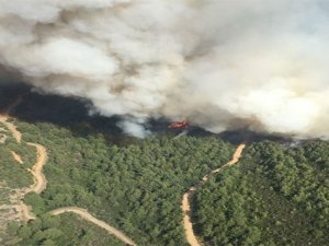 İzmir’de orman yangını!