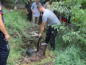 Şoke eden görüntü! Bu halde bulundu