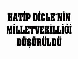 Dicle'nin milletvekilliği düşürüldü