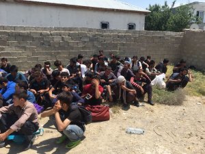 309 kaçak şahıs yakalandı