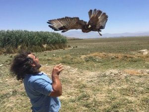 2 kızıl Şahin özgürlüğe kanat çırptı