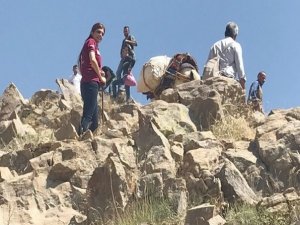 Huzurun sağlanması yaylaları şenlendirdi