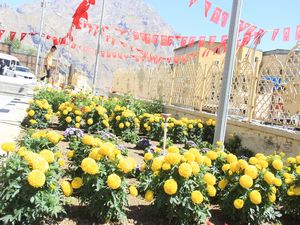 Sümbül dağı gölgesinde bir renk cümbüşü