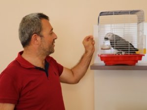 Bulduğu papağanın söyledikleri karşısında şoke oldu