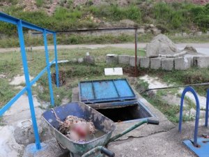 Vahşet! Kanalizasyonda bulundu