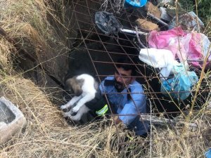 Yavru köpekler itfaiye tarafından kurtarıldı