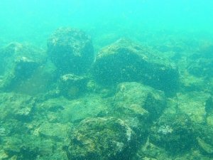 Van Gölü'nün altında yaşam belirtileri