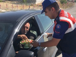 Jandarmanın tatil mesaisi devam ediyor
