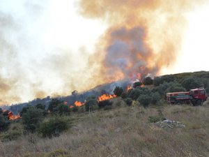 Çoban ateşi ormanı yaktı