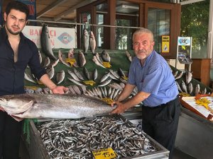Hamsi bolluğu yüzleri güldürdü