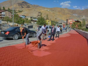 Hakkari sokakları renklendirildi