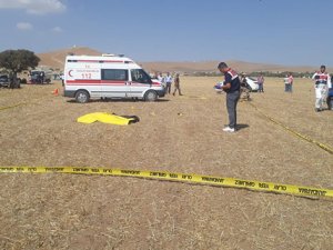 Koyun otlatma kavgası: 1 ölü, 2 ağır yaralı