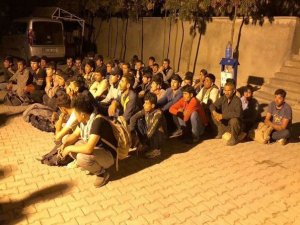 52 kaçak göçmen yakalandı