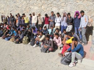 118 kaçak göçmen yakalandı