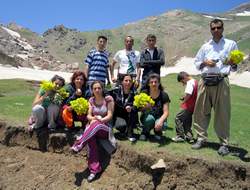 Hakkari'nin yaylaları'nın çiçeği nergis