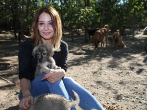 Sokaklardan kurtardığı 100 köpeğe bakıyor
