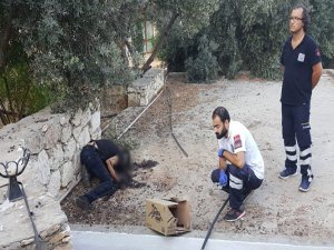 Elleri ve yüzü yanmış ceset bulundu