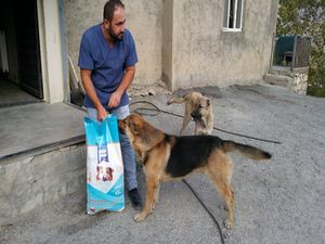 Hakkari’de ‘4 Ekim Hayvanları Korumu Günü’ etkinlikleri