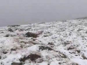 Rize'nin yüksek kesimlerinde kar yağışı yaşandı.