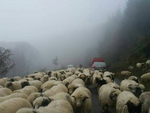 Yaylalardan dönüş başladı