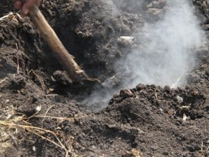 Köylüler ne yapacağını şaşırdı