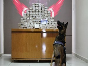 1 tırda 100 kilo eroin ele geçirildi!