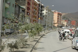 DİKİLEN AĞAÇLARI TAHRİP EDİLDİ