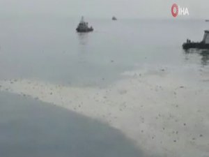 185 kişiyi taşıyan yolcu uçağı düştü!